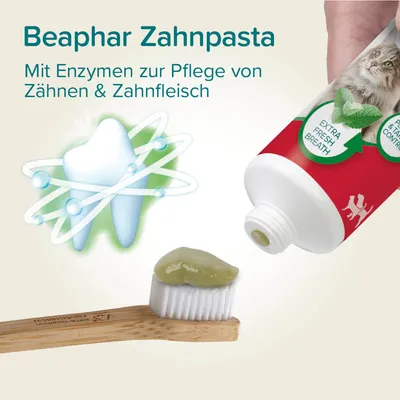 Beaphar Zahnpasta Pfefferminz & Petersilie