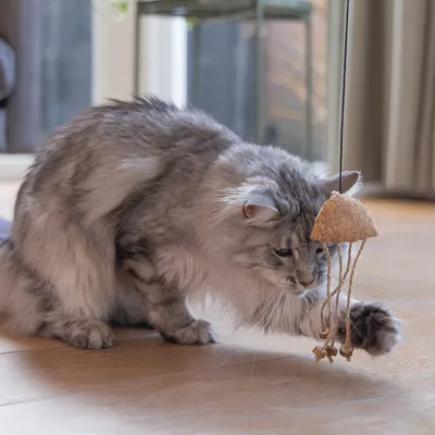 Beeztees Catnip Cat Fishing Rod Octopus Tako