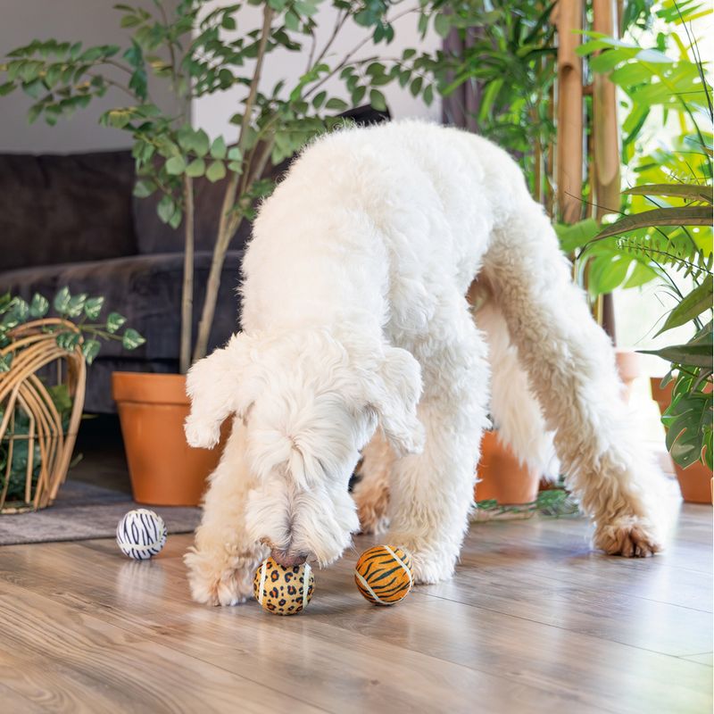 beeztees Hundespielzeug Dschungelbälle