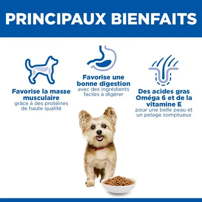 Principaux avantages : soutient la masse musculaire grâce à des protéines de haute qualité, favorise une bonne digestion avec des ingrédients hautement digestibles, acides gras oméga-6 et vitamine E pour la peau et la fourrure.