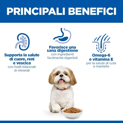 Hill's Science Plan Mature Adult 7+ Small & Mini con Pollo