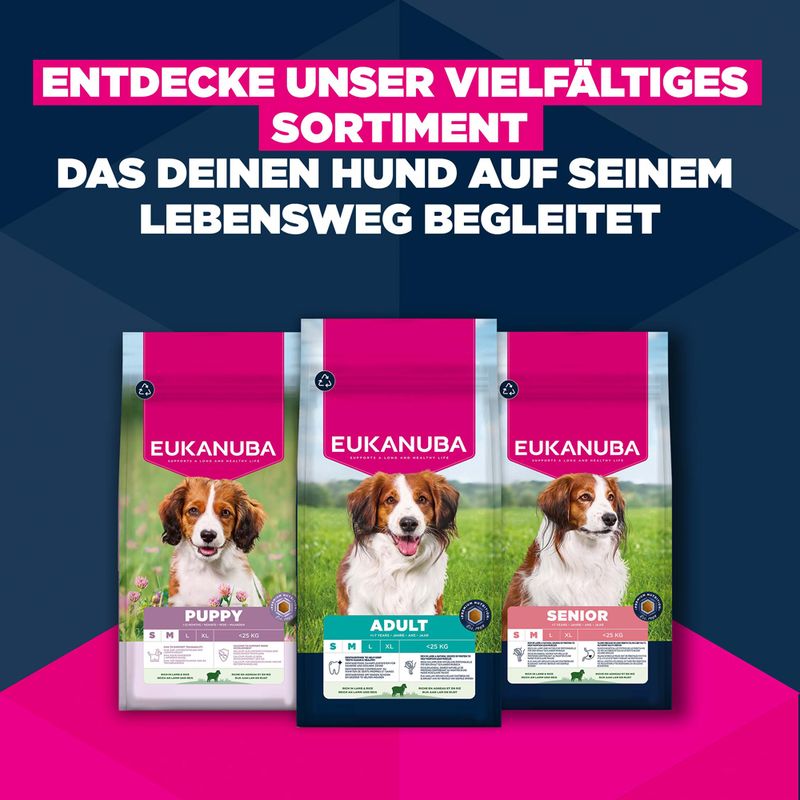 Eukanuba Premium Nutrition Senior Small & Medium Breed Lamm & Reis