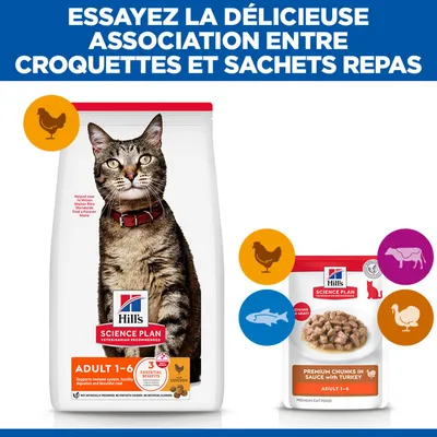 Hill's Science Plan Adulte 1-6 nourriture pour chat, aliments secs et humides, saveurs poulet, bœuf, dinde et poisson. Combinez Croquettes et sachets fraîcheur. Hill's Science Plan Adulte 1-6 nourriture pour chat, aliments secs et humides, saveurs poulet, bœuf, dinde et poisson. Combinez Croquettes et sachets fraîcheur.