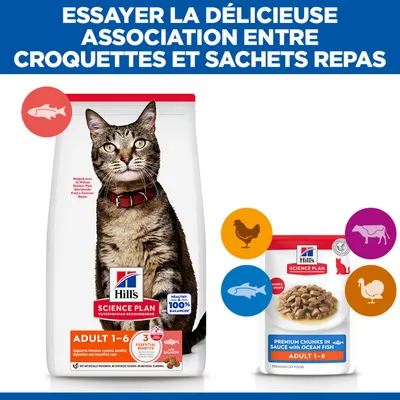 Hill's Science Plan Adulte 1-6 nourriture pour chat, aliments secs et humides, saveurs saumon, poulet, bœuf, dinde. Recommandation de combinaison de croquettes et de sachets. Hill's Science Plan Adulte 1-6 nourriture pour chat, aliments secs et humides, saveurs saumon, poulet, bœuf, dinde. Recommandation de combinaison de croquettes et de sachets.