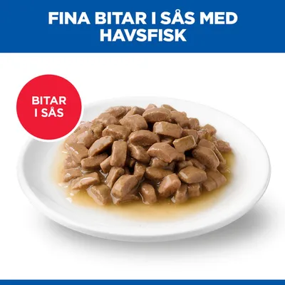 Fina bitar i sås med havsfisk, Bitar i sås. Fina bitar i sås med havsfisk, Bitar i sås.
