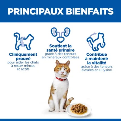 Principaux avantages : cliniquement prouvé, favorise la santé des voies urinaires grâce à des minéraux contrôlés, contribue à la vitalité grâce à une teneur élevée en L-lysine. Chat et gamelle visibles. Principaux avantages : cliniquement prouvé, favorise la santé des voies urinaires grâce à des minéraux contrôlés, contribue à la vitalité grâce à une teneur élevée en L-lysine. Chat et gamelle visibles.