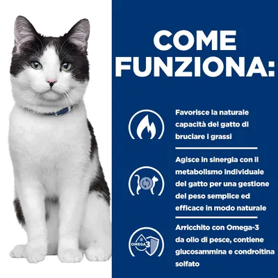 Hill's Prescription Diet j/d Metabolic + Mobility con Pollo