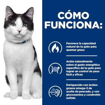 Hill's Prescription Diet j/d Metabolic + Mobility con pollo, pienso para gatos