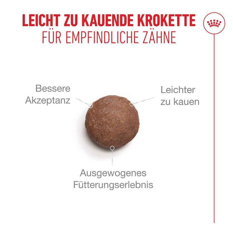 Royal Canin Ageing 11+