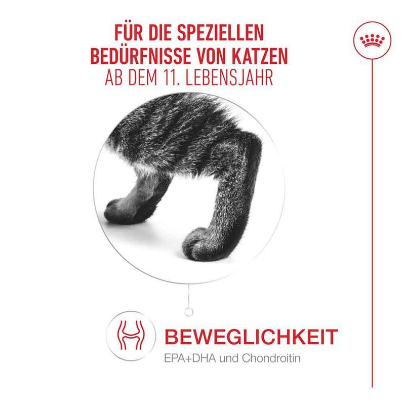 Royal Canin Ageing 11+