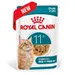 Royal Canin Ageing 11+ en gelée