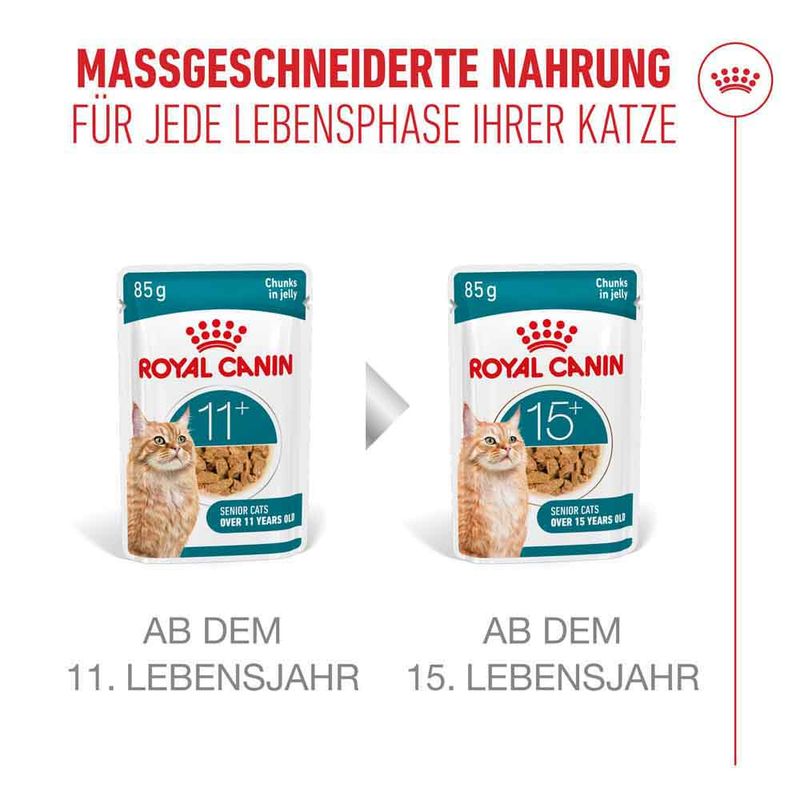 Royal Canin Ageing 11+ in Gelee
