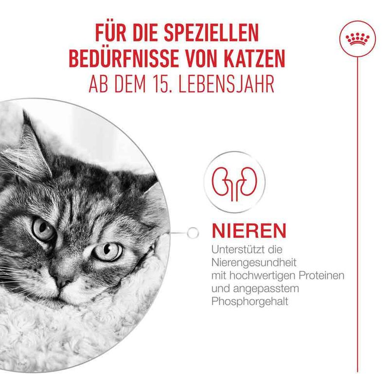 Royal Canin Ageing 15+ in Soße