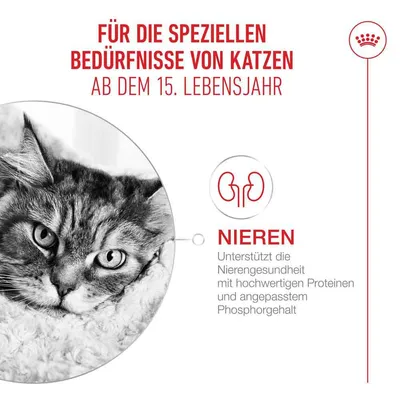 Royal Canin Ageing 15+ in Soße