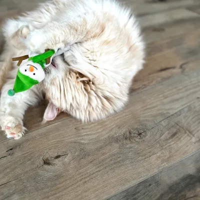 Aumüller Coussin Bonhomme de neige Frozen Fritz pour chat