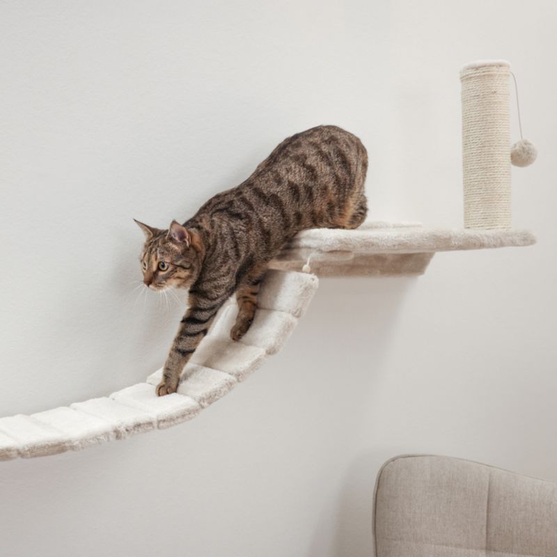 Kerbl Pet Kletterwand Matterhorn für Katzen, beige