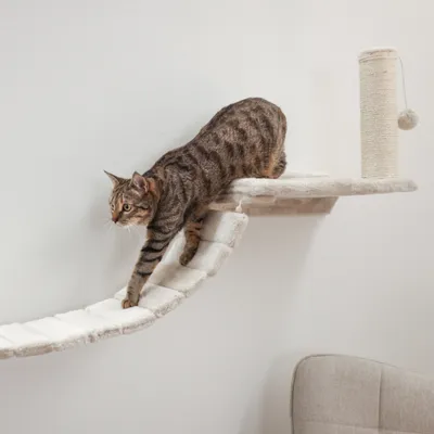 Kerbl Pet Kletterwand Matterhorn für Katzen, beige