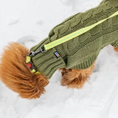 Rukka Wooly Maglioncino per cani , oliva