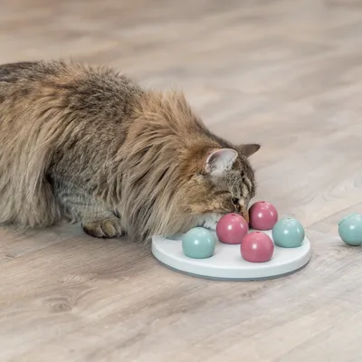 Trixie Cat Activity Strategy Game Solitaire pour chat