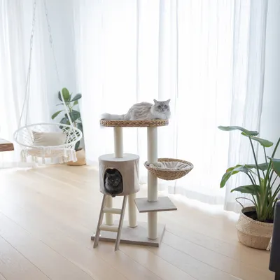 Kerbl Pet Banana Leaf Waxy