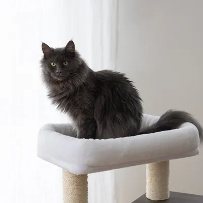 Kerbl Pet Arbre à chat Flair, blanc/gris