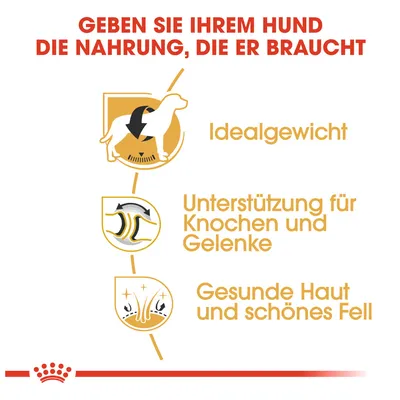 Geben Sie Ihrem Hund die Nahrung, die er braucht: Idealgewicht, Unterstützung für Knochen und Gelenke, gesunde Haut und schönes Fell.