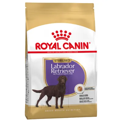 Royal Canin Sterilised Labrador Retriever torrfoder för hundar från 15 månader, speciellt anpassad krokett-design, stödjer hud, päls och ledhälsa.
