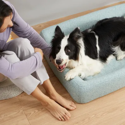 Petkit Four Seasons Pet Bed – Light Blue