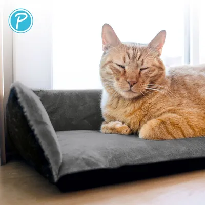 Petlando Lit de fenêtre Windowchiller avec protection anti-courants d’air Petlando Lit de fenêtre Windowchiller avec protection anti-courants d’air