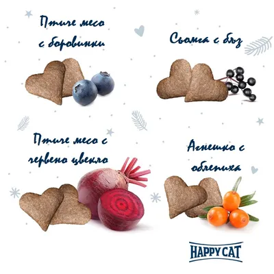 Happy Cat коледен календар 2025