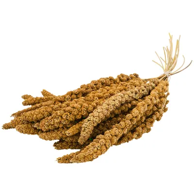 JR Farm Seau Millet Jaune pour oiseaux