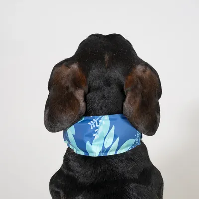 Nomad Tales Τροπικό Δροσιστικό Περιλαίμιο