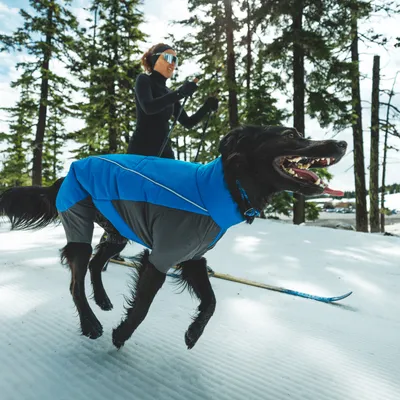 Ruffwear Vert Coverall Dog Coat - Blue Pool