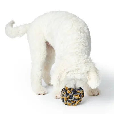 HUNTER čmuchací míček Eiby