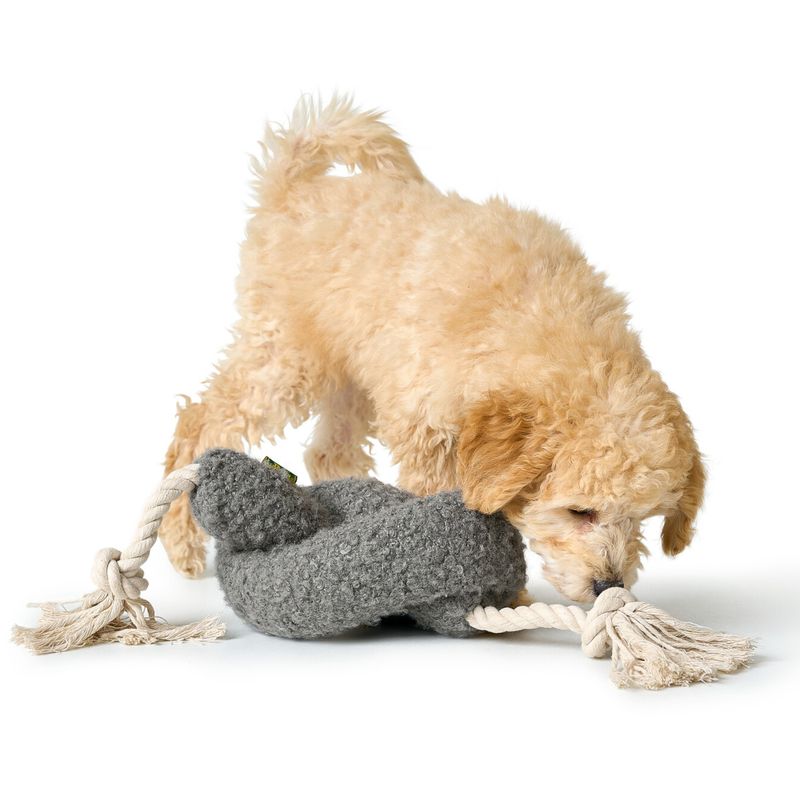 Jucărie pentru câini Hunter Madrid cu frânghie, gri