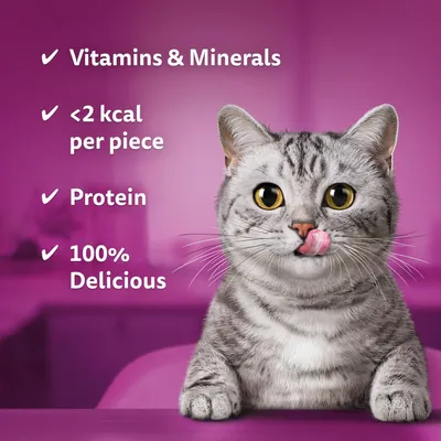 Whiskas Temptations Mega Tub