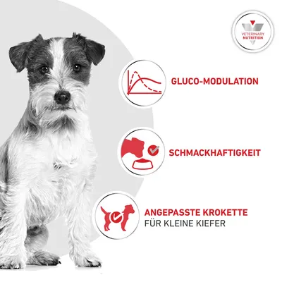 Royal Canin Veterinary Canine Glycobalance Small Dog