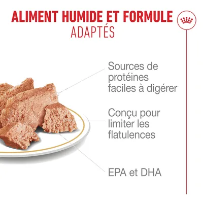 Royal Canin Bouledogue français Mousse