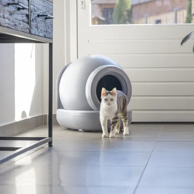 beeztees automatisk kattlåda Moeza