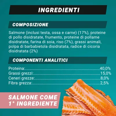 Componenti: salmone 17%, proteine di pollo, frumento, farina di soia, riso 7%, grassi animali, polpa di barbabietola rossa, radice di cicoria 2%. Analisi: proteine 40%, grassi 15%, ceneri 8%, fibre 2,5%. Componenti: salmone 17%, proteine di pollo, frumento, farina di soia, riso 7%, grassi animali, polpa di barbabietola rossa, radice di cicoria 2%. Analisi: proteine 40%, grassi 15%, ceneri 8%, fibre 2,5%.