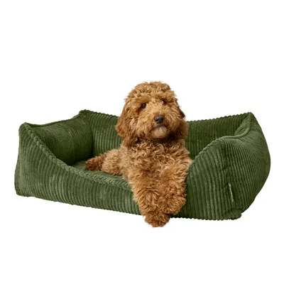 Hunter Ergonomische Hondensofa Corbie Hunter Ergonomische Hondensofa Corbie