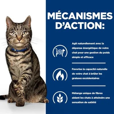 Mécanismes d’action : Favorise la dépense énergétique naturelle, stimule la combustion des graisses et contient un mélange spécial de fibres pour une sensation de satiété chez les chats.