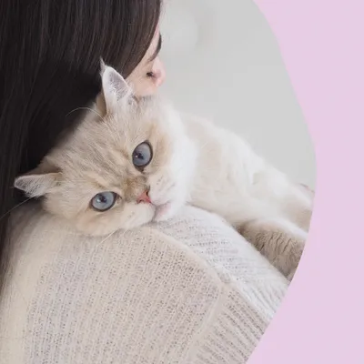 GimCat Nutri Malt Bites GimCat Nutri Malt Bites