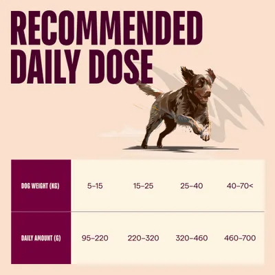 Carnilove Active Adult jehněčí a divočák