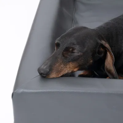 Modern Living postelja za pse Granit