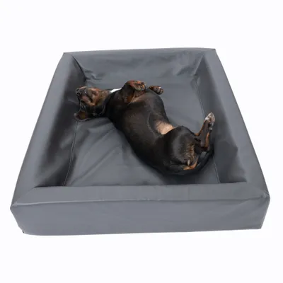 Modern Living postelja za pse Granit