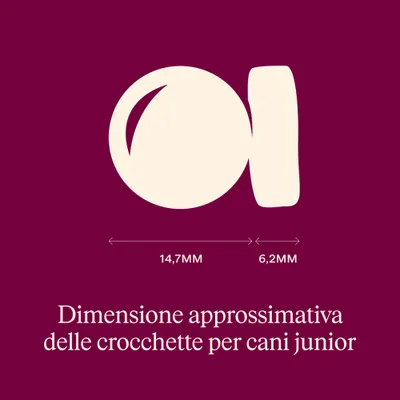 Dimensioni delle crocchette per alimento per cani junior: diametro ca. 14,7 mm, spessore ca. 6,2 mm.