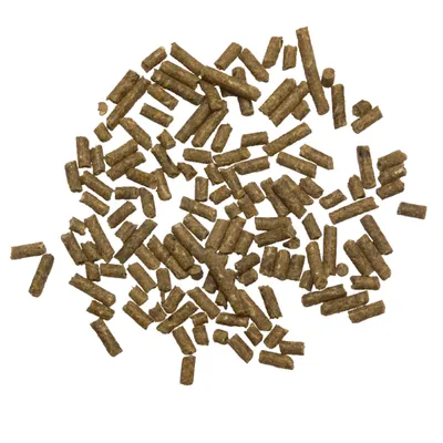 Vue rapprochée de granulés alimentaires cylindriques marron, sans marque ni emballage visible, sur fond blanc.