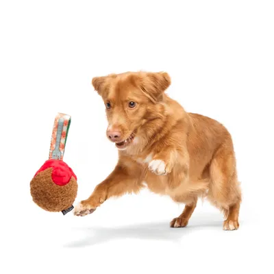 Bark zabawka dla psa A Squeaky Meat-A-Ball