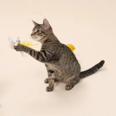 Caña de mesa Tiaki Pato con catnip juguete para gatos - 1 unidad Caña de mesa Tiaki Pato con catnip juguete para gatos - 1 unidad